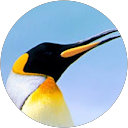Photo de profil de Dorian Carré